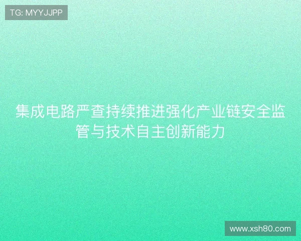 集成电路严查持续推进强化产业链安全监管与技术自主创新能力 集成电路严查持续推进强化产业链安全监管与技术自主创新能力